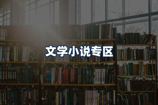 文学小说PDF展示